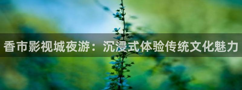 白云视频网站：香市影视城夜游：沉浸式体验传统文化魅力