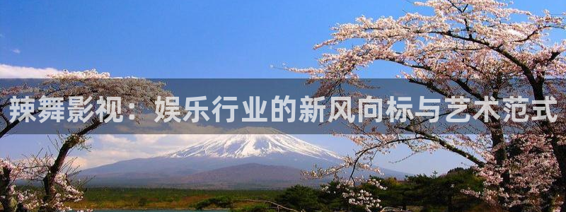 白云视频下载链接：辣舞影视：娱乐行业的新风向标与艺术范式