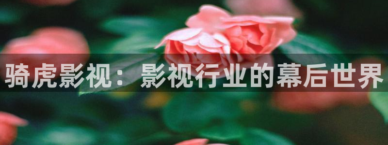 白云视频安装：骑虎影视：影视行业的幕后世界