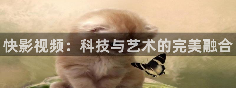 白云影视视频：快影视频：科技与艺术的完美融合